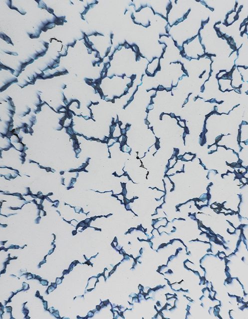 Sea Foam Blue
#PS2403