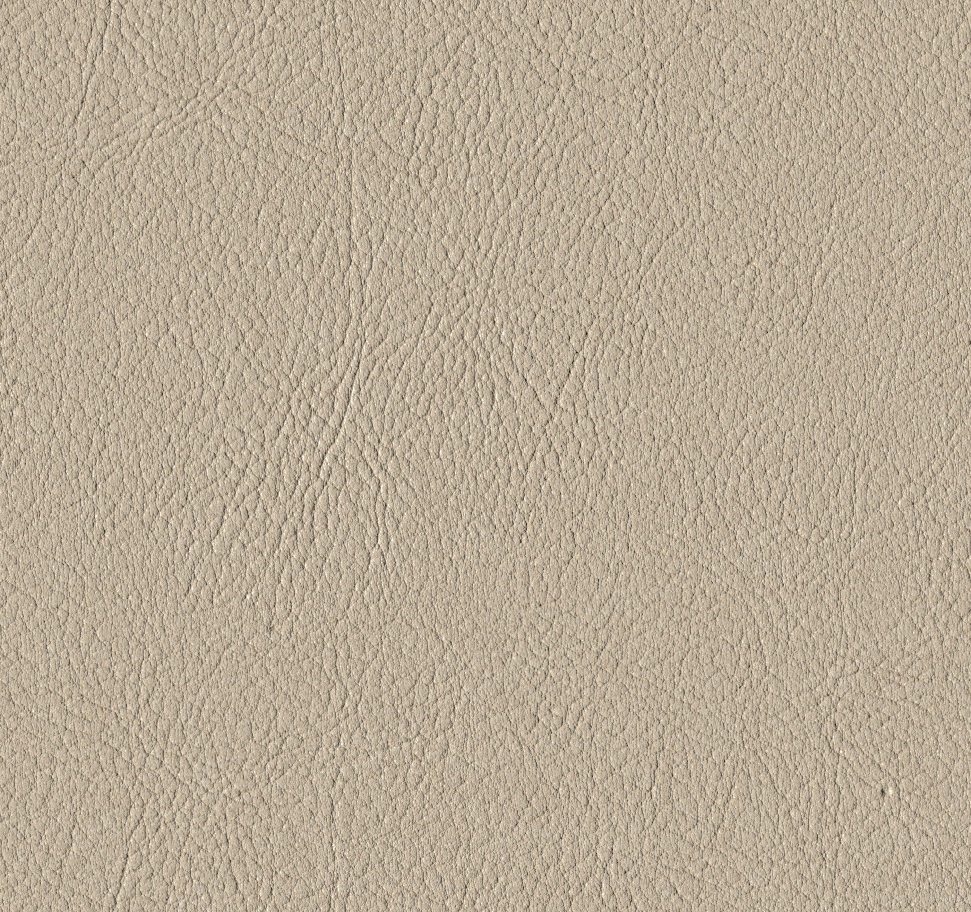 Tileable image - Ivory