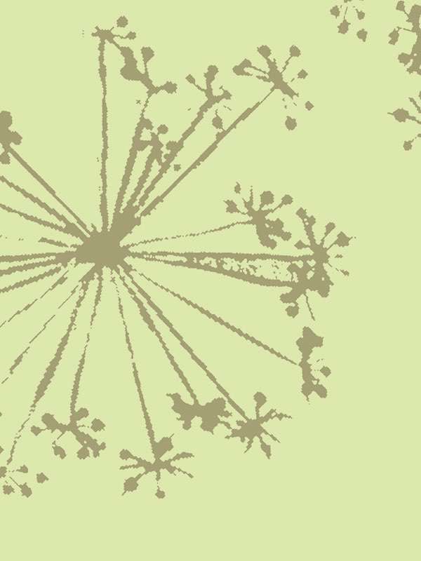 2822 neigepaola navone