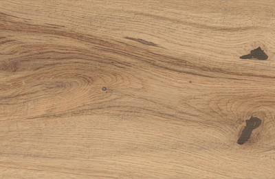 AtlasConcorde_LOG_IconOakForest_Macro