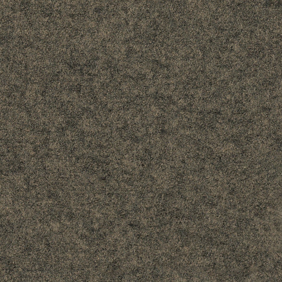 focus_melange_screen_61442