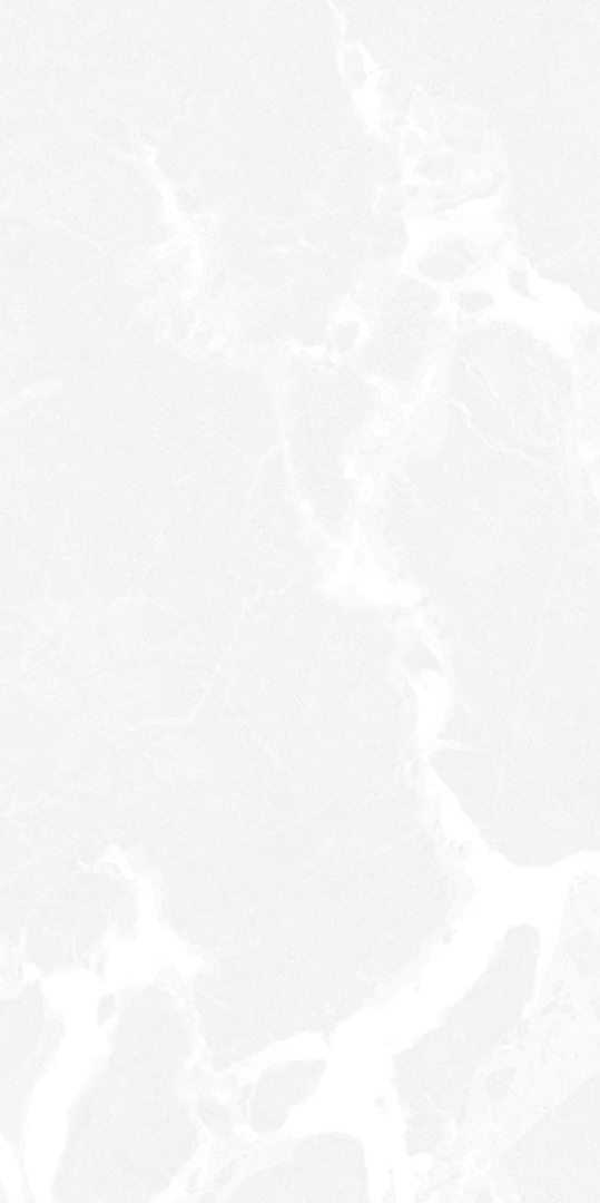 8-majesty-white-60x120_16