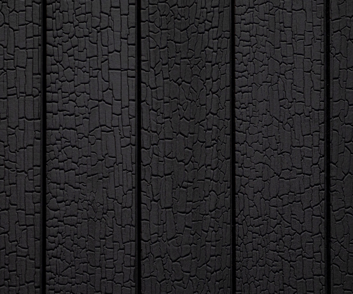 bois-brule-accoya-noirdenoir-2