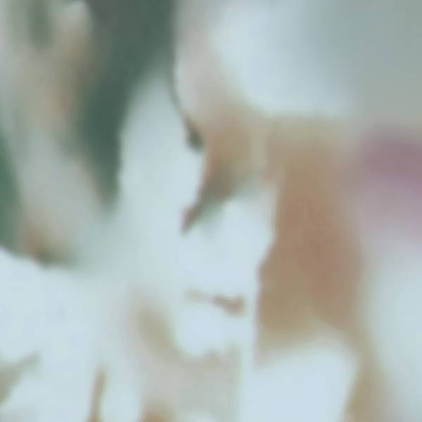 Flowery_Field_1600pixel_02_1600p-thumbnail-600x600-70