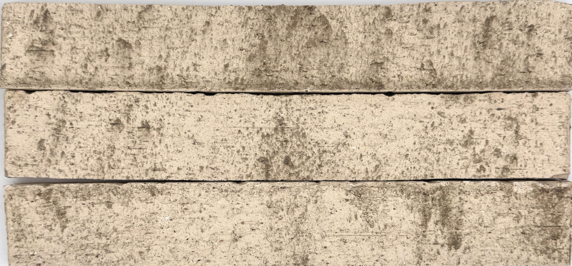 2025_RM_Caractere_Ivoire