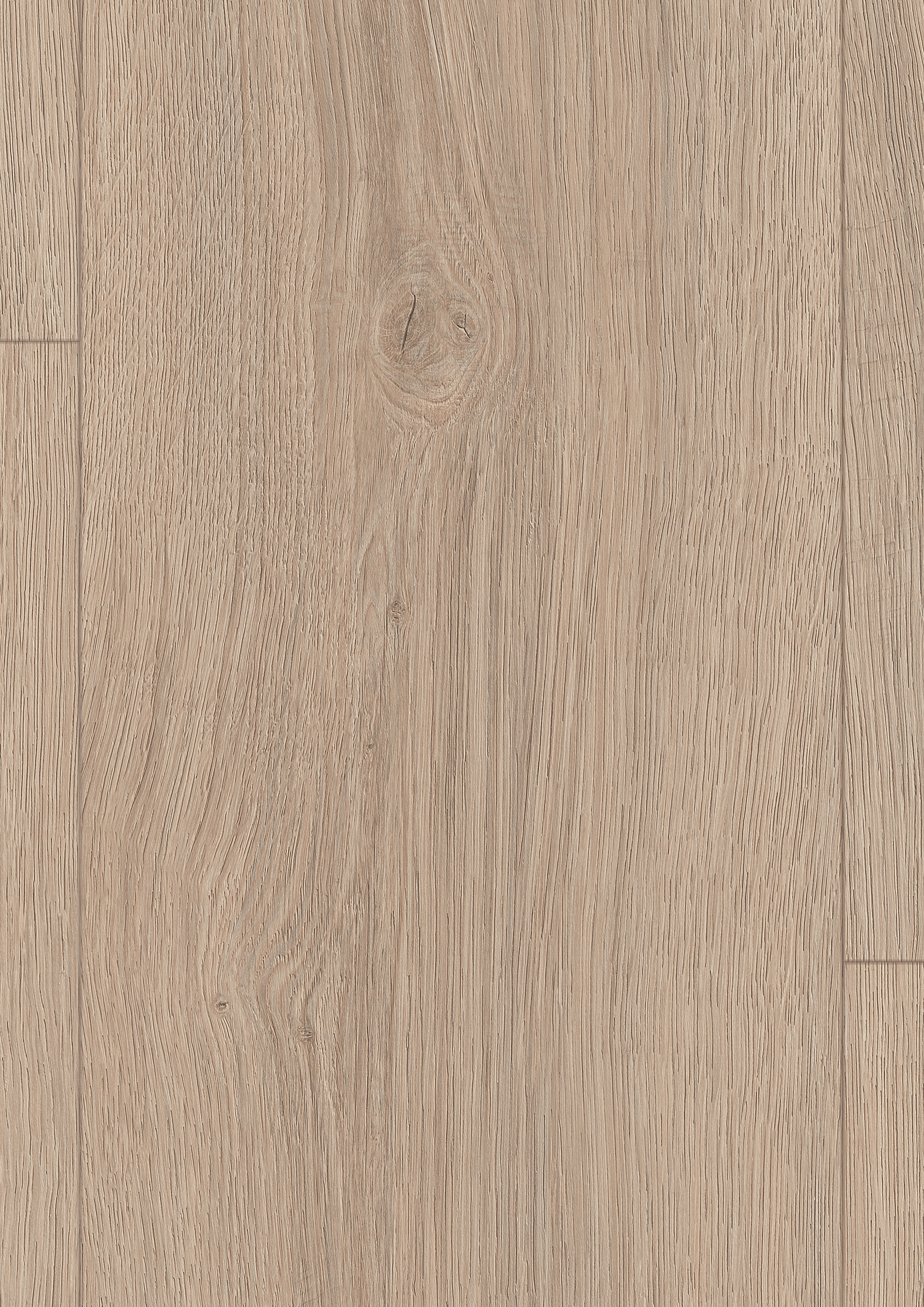 EDF186_STD8_large_wv4_detail_10DE_flo