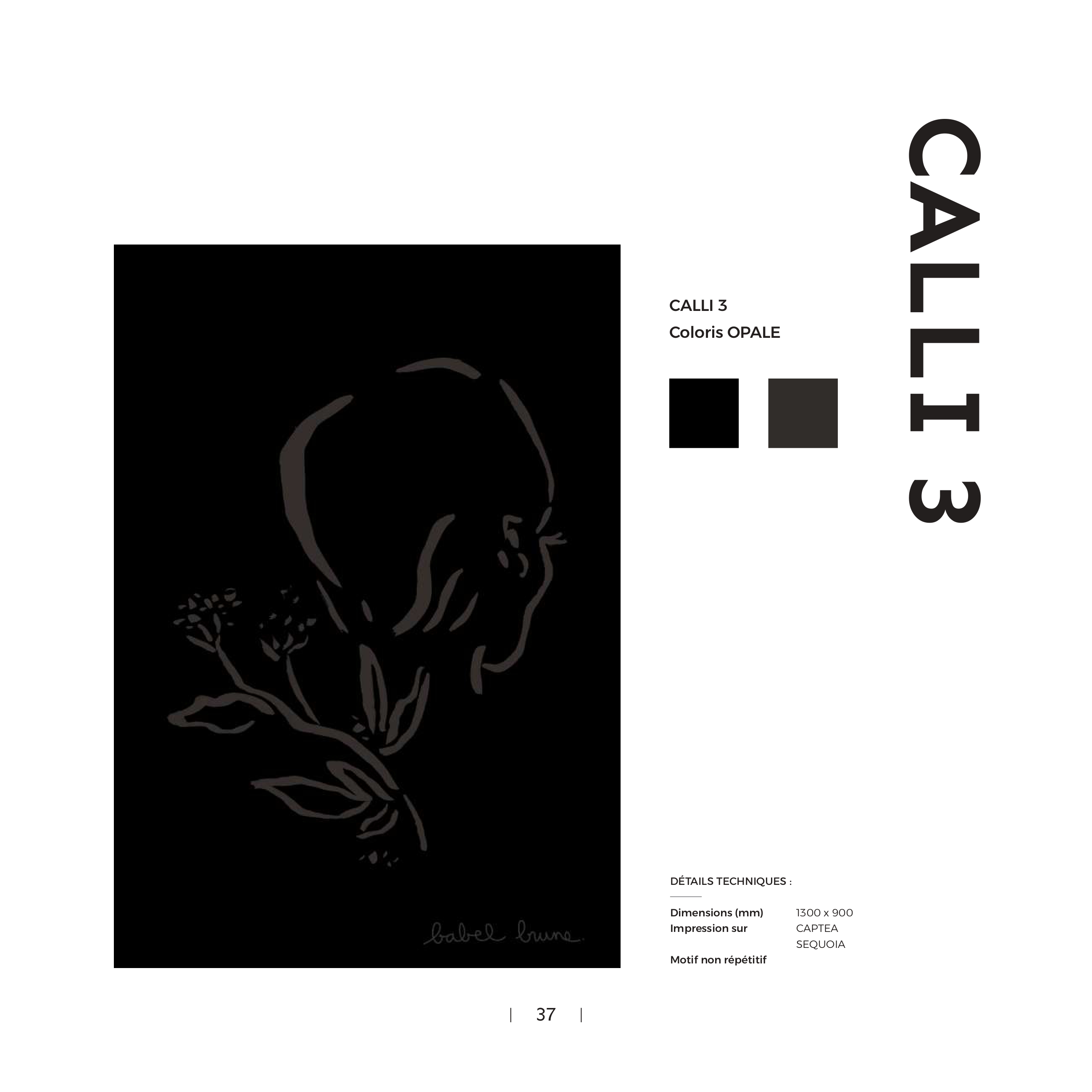 BABEL BRUNE - L'acoustique artistique_page-0037