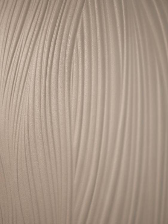 OTTANI_DSCF0190-resize_height-0x750-70