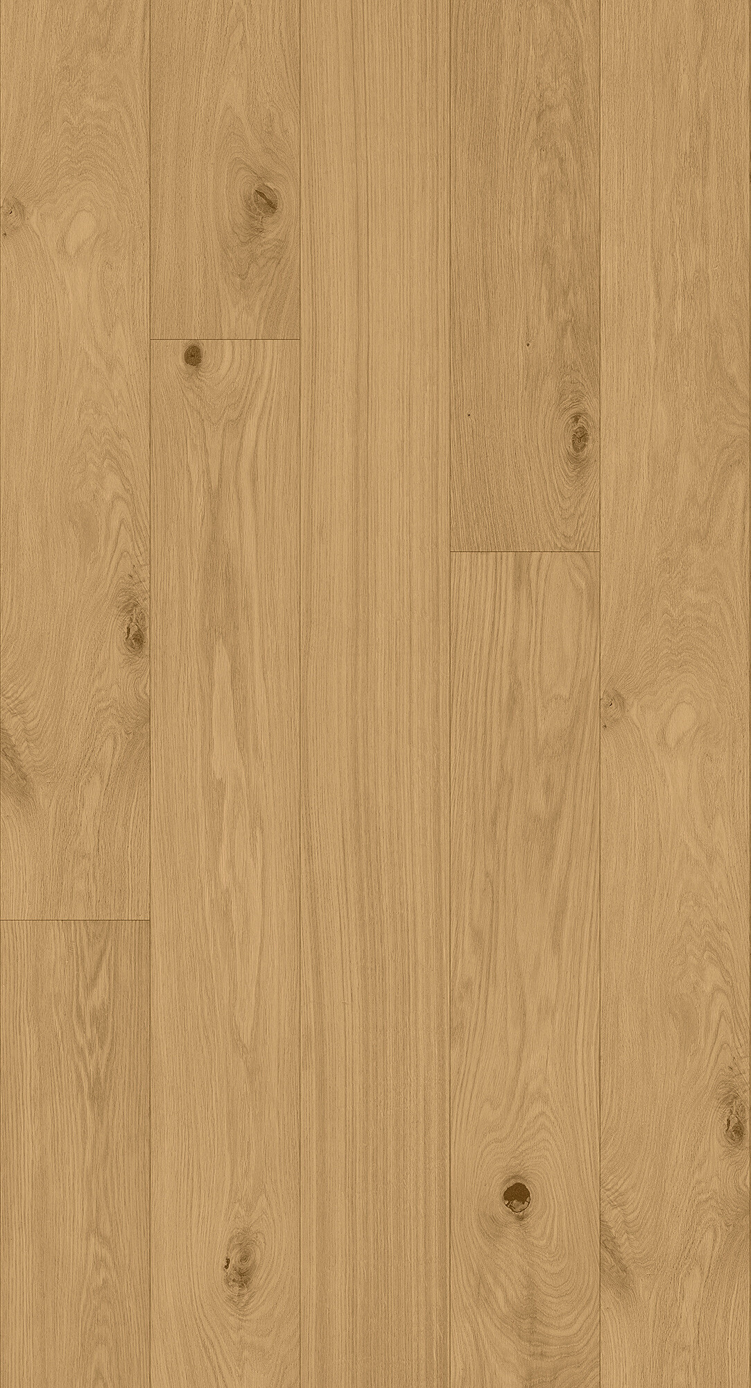 cabbani-cda-magritte-hr_1742814365