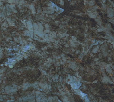 AtlasConcorde_MarvelDiva_Baobab_Macro