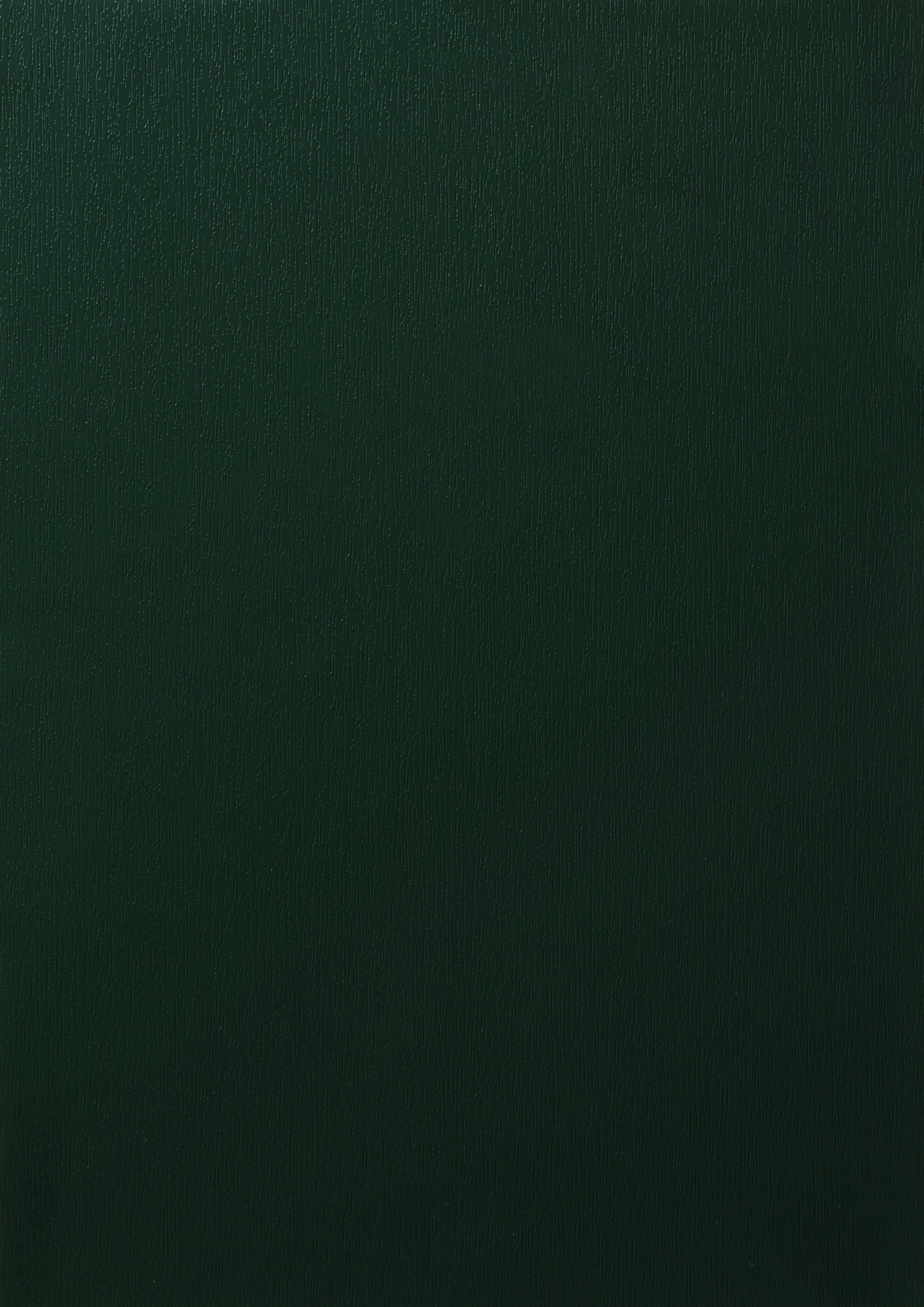 Vert Sapin veiné (RAL 6009)