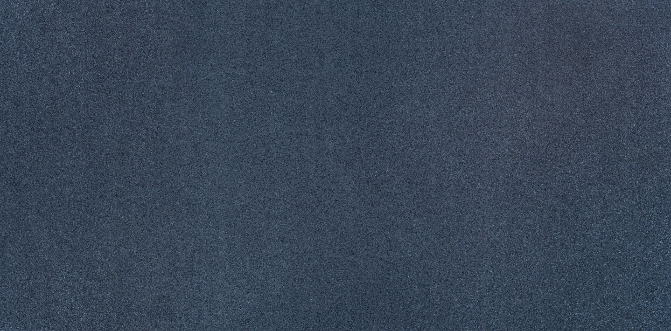 0060 METALLICA Dellig