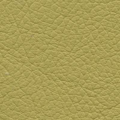 montaigne-pistache-s