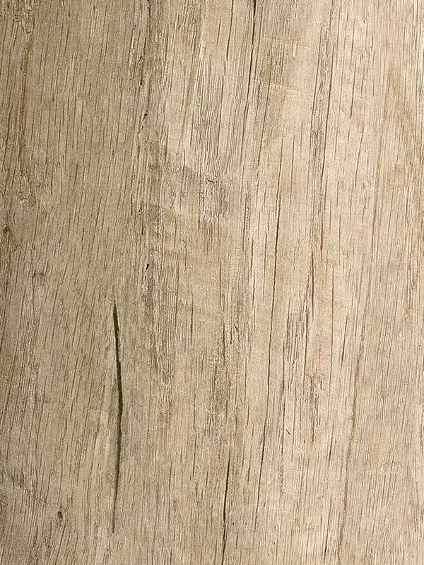 669 rovere primitivo