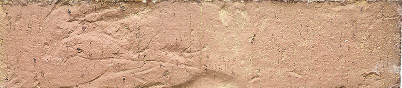 REMARQUABLE_TC-Provence