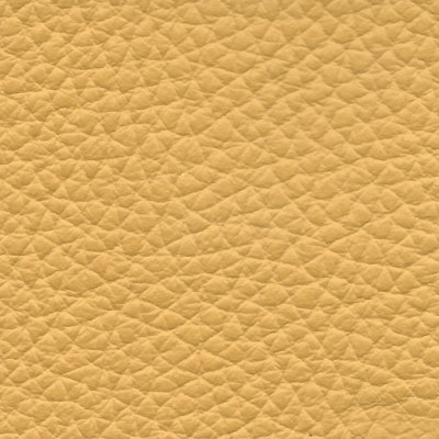 montaigne-tournesol-s