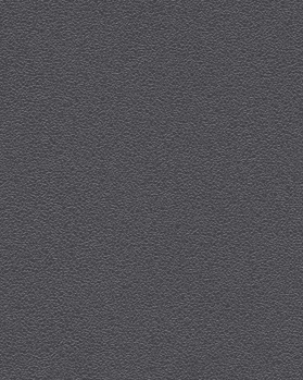 Gris Ardoisé Sablé/Fine Structure (RAL7015)