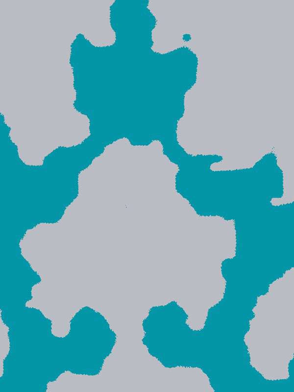 2831 broccatopaola navone