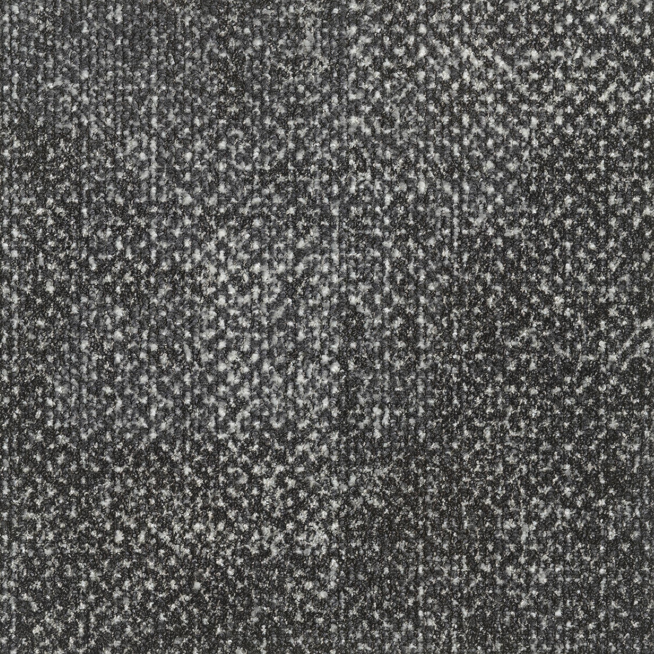 0865013 - Seed Black 5520