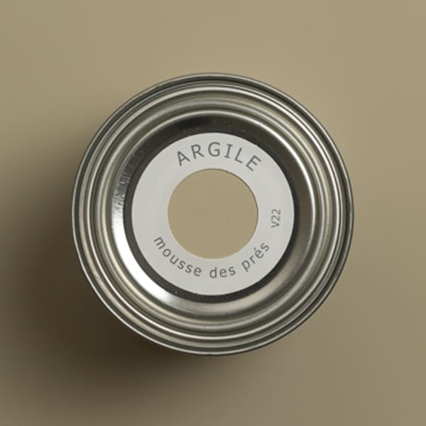 argile_peinture-tmvv22-teinte-mousse_des_pres-600_600