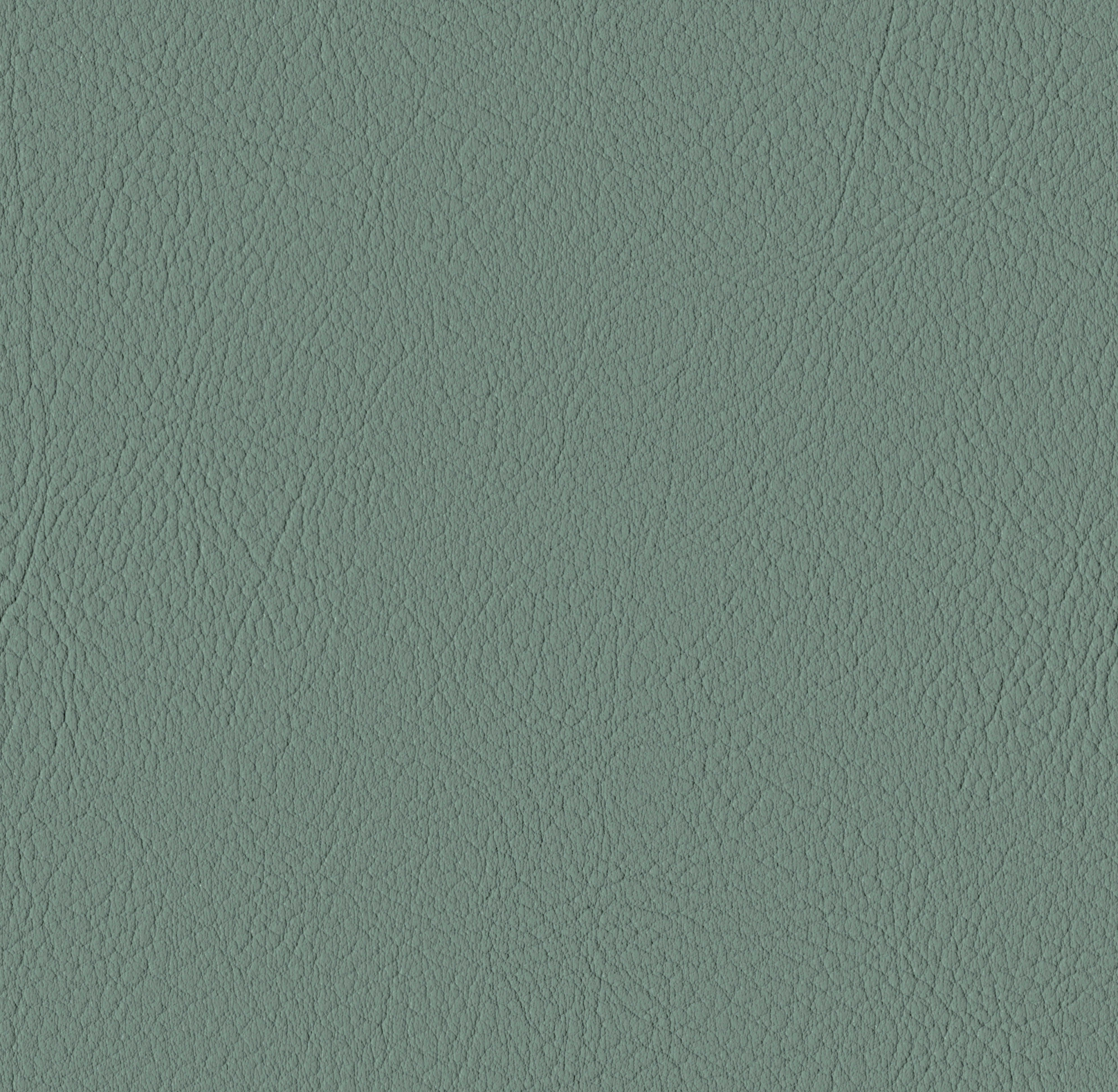 Tileable image - Eucalyptus