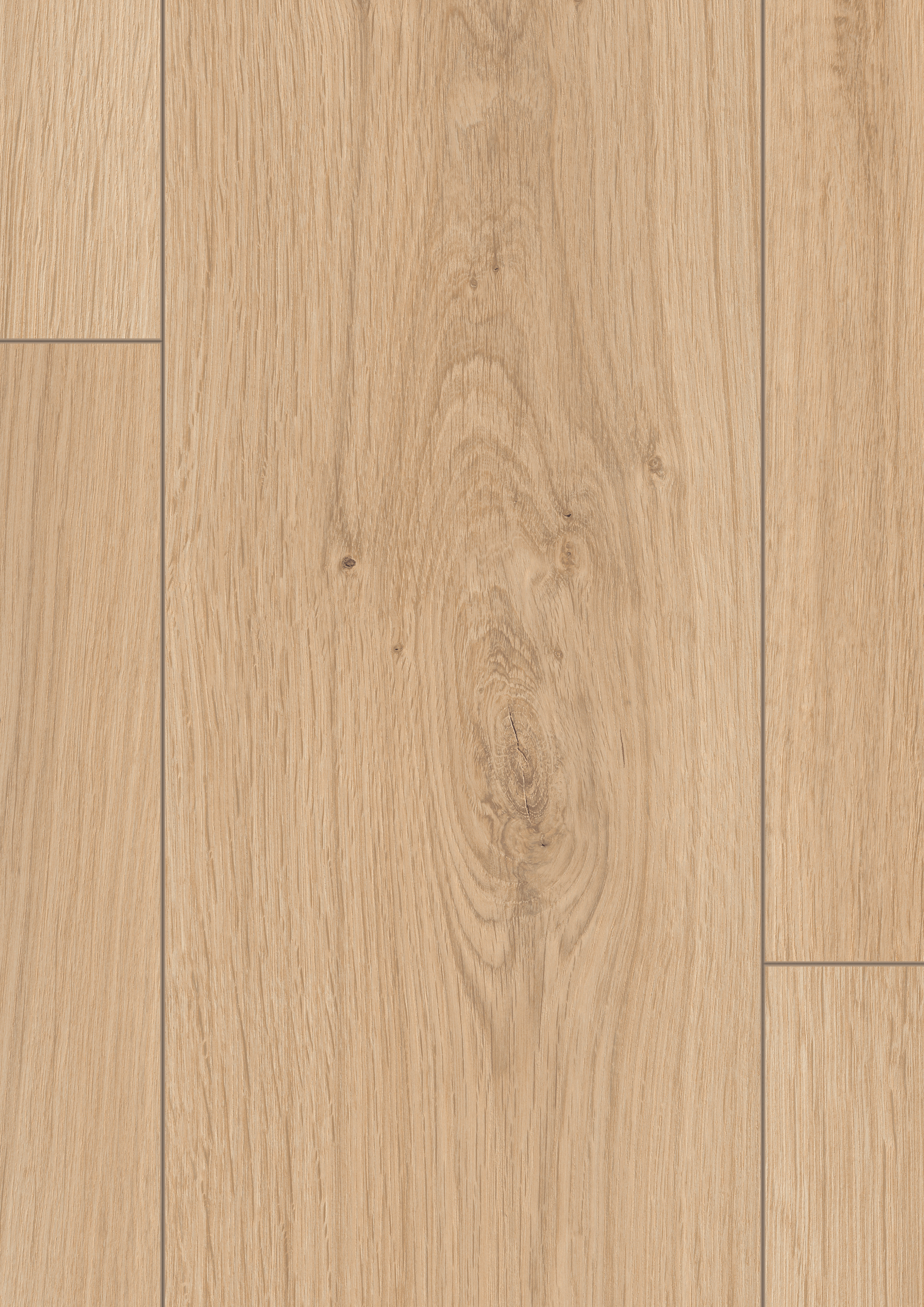 EL2113_ST60_classic_wv4_detail_10DE_flo