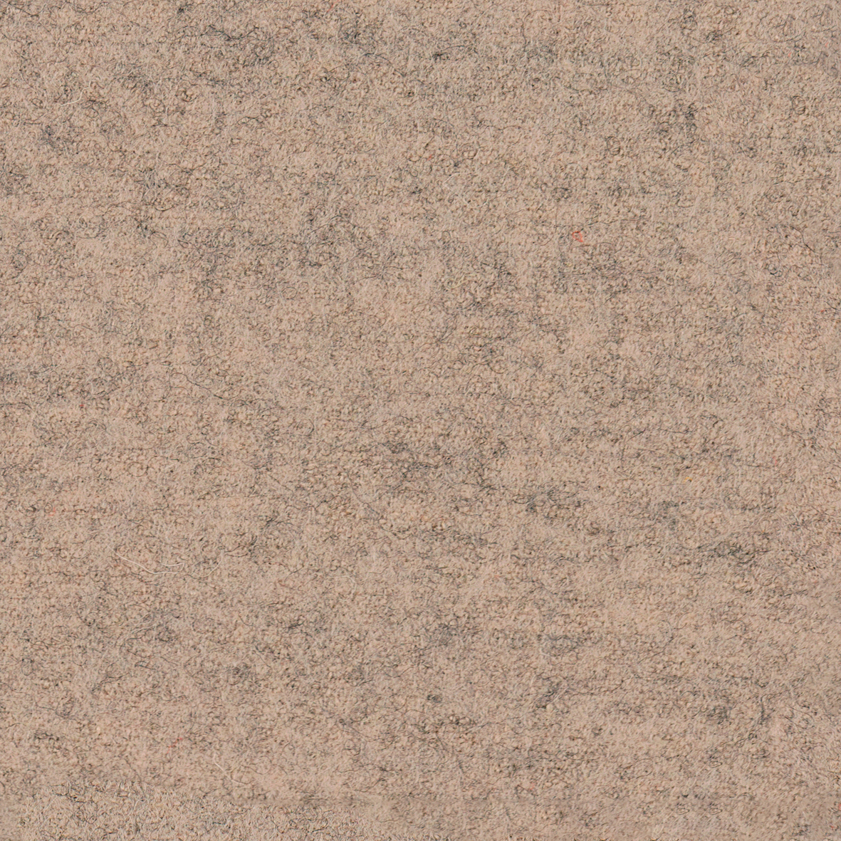 focus_melange_screen_64445