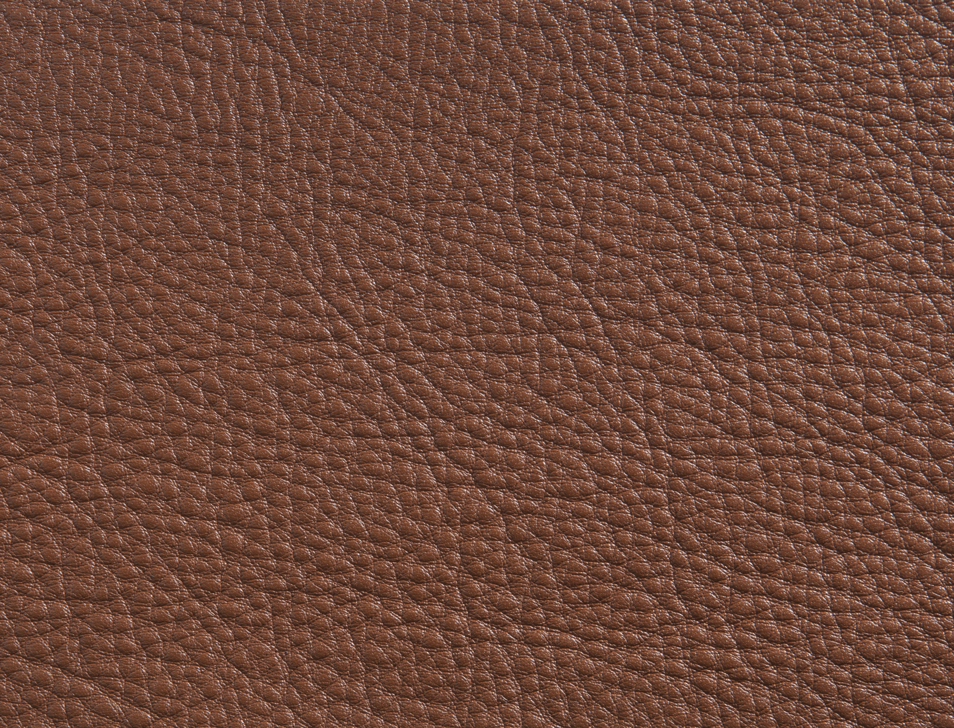 ElmorusticalVIII_33286