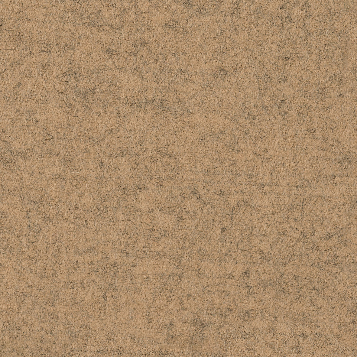 focus_melange_screen_61439