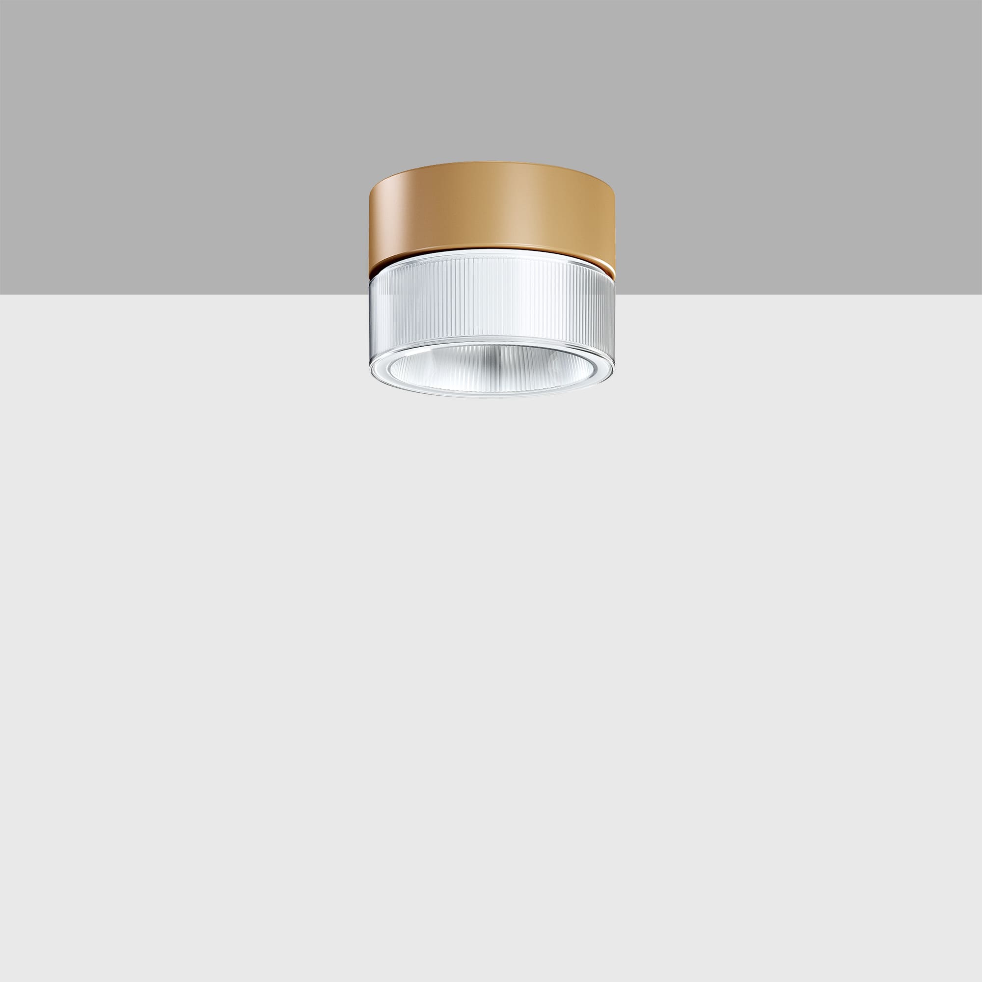 Betwo colori champagne transparent blanc