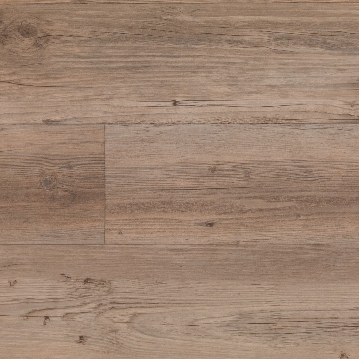 JPG 72 dpi-Taralay Impression 0760 Moon Island (1)