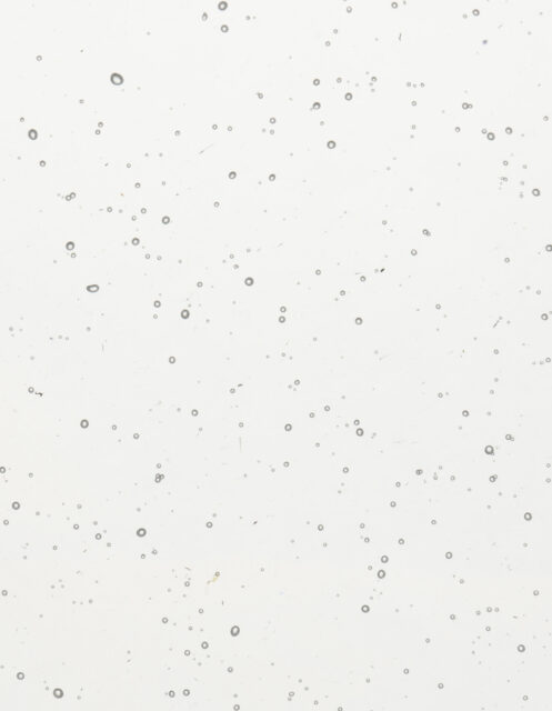 Translucent Clear
#PS1305