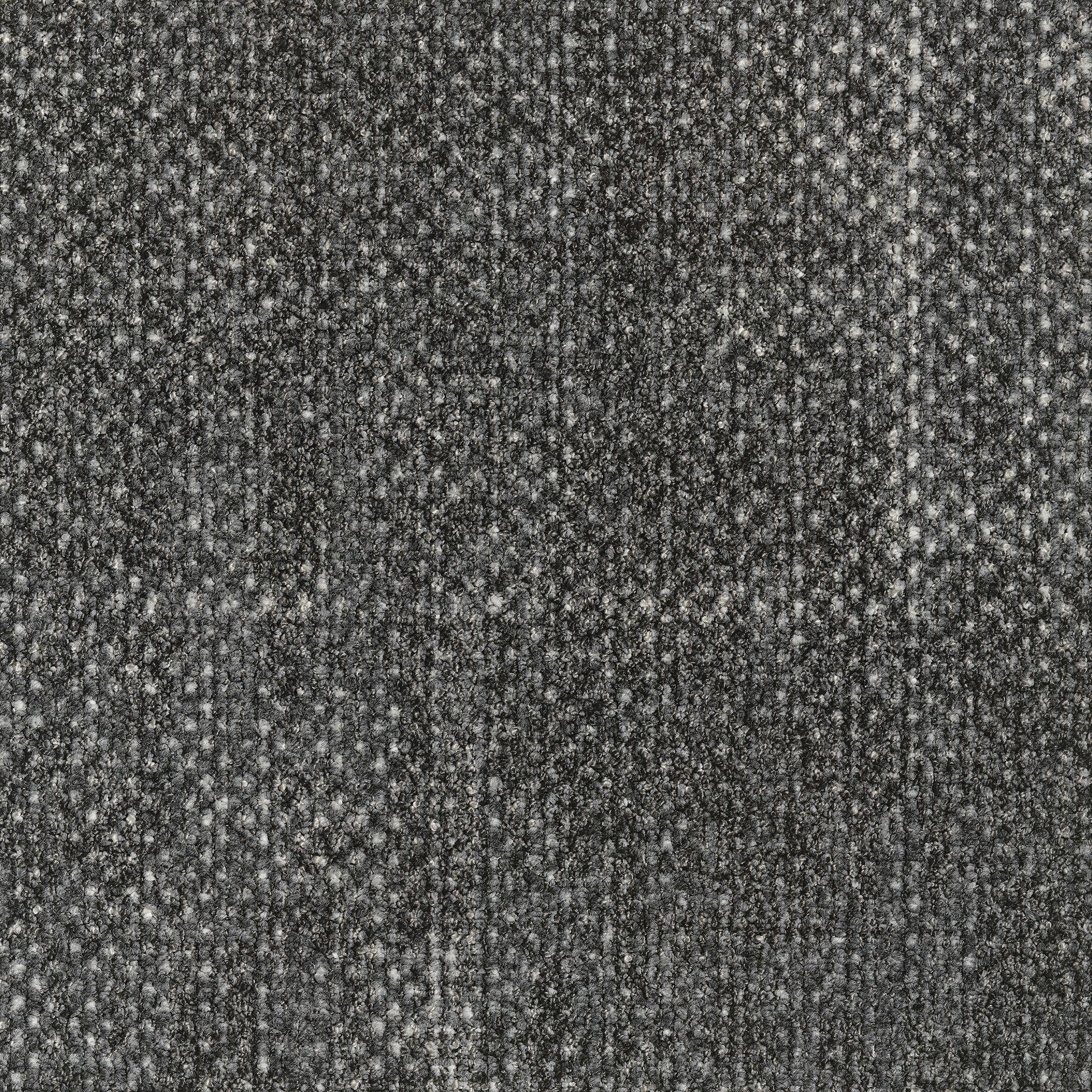 0865033 - Seed Black 5500