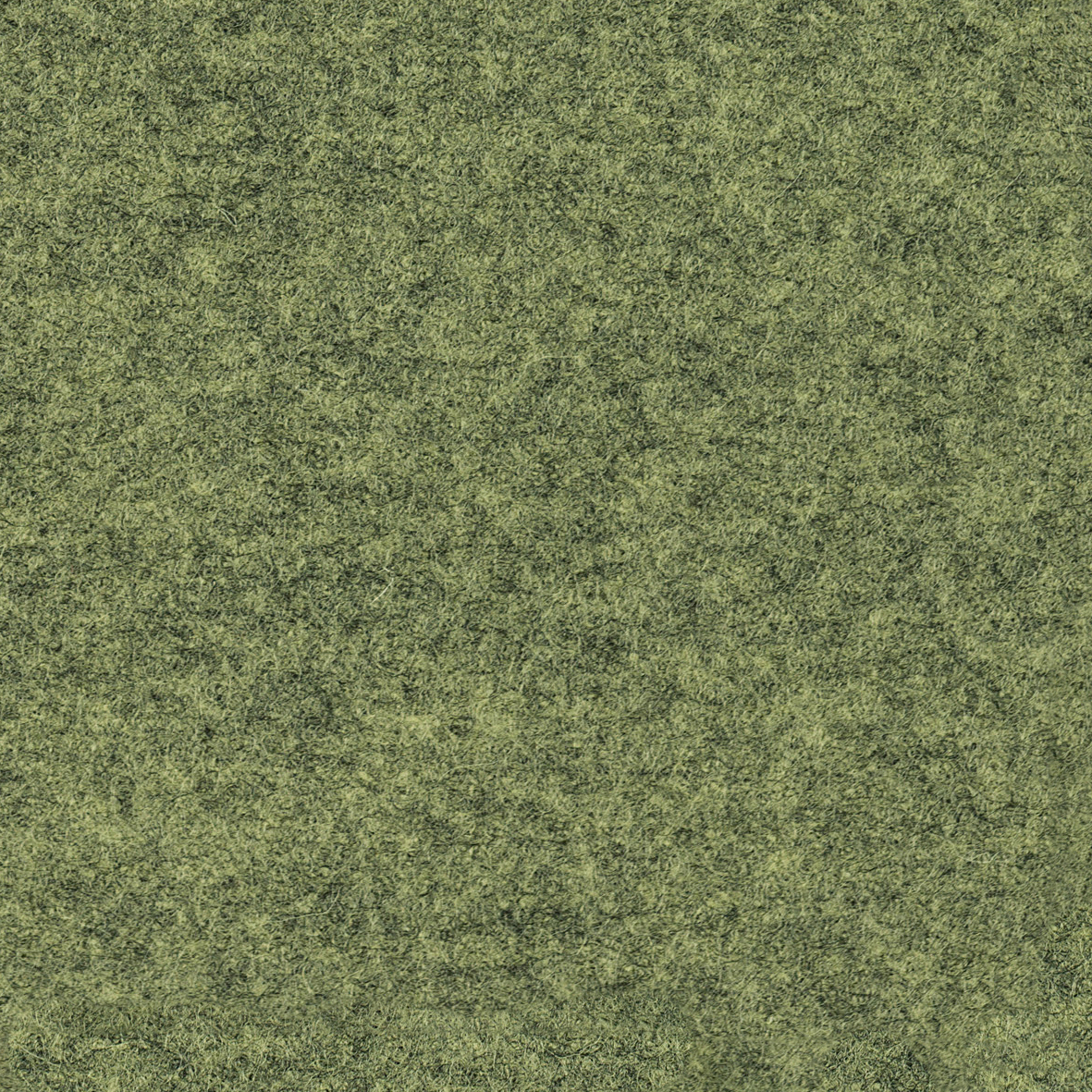 focus_melange_screen_68445