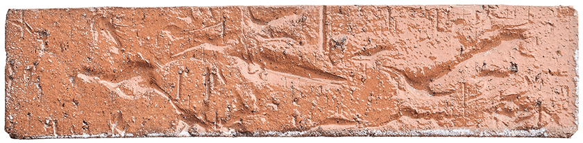 REMARQUABLE_TC-Transparent_Provence