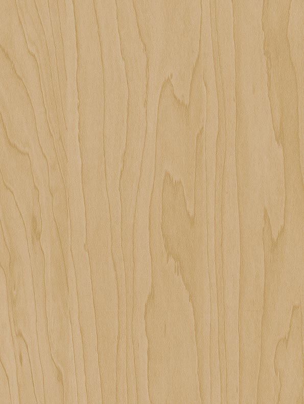 CT20 - Gold Beige Birch