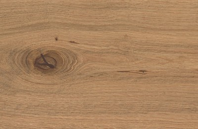 AtlasConcorde_LOG_DeepOak_Macro