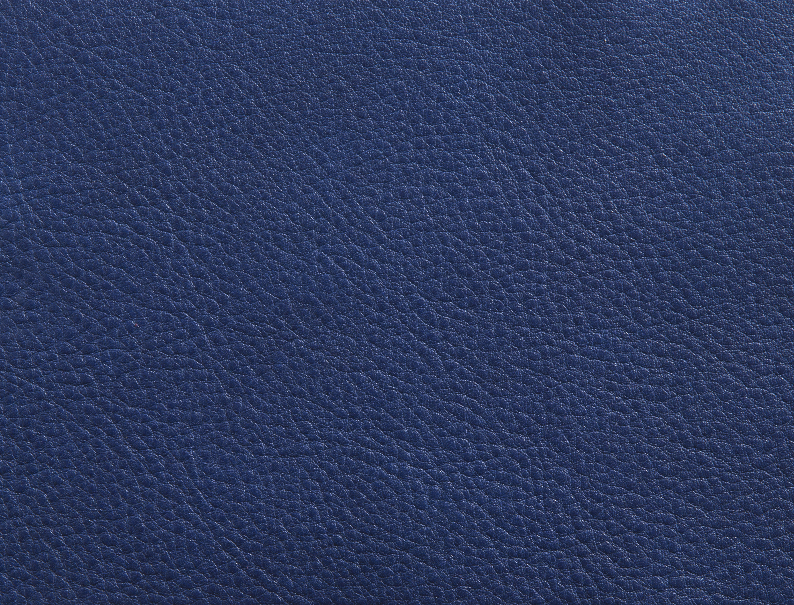 ElmorusticalVIII_77020