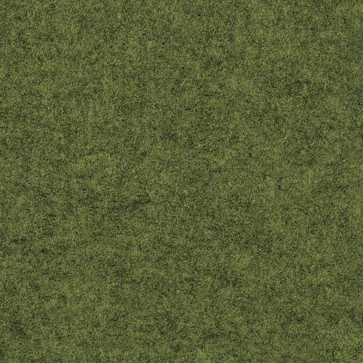 focus_melange_screen_68435