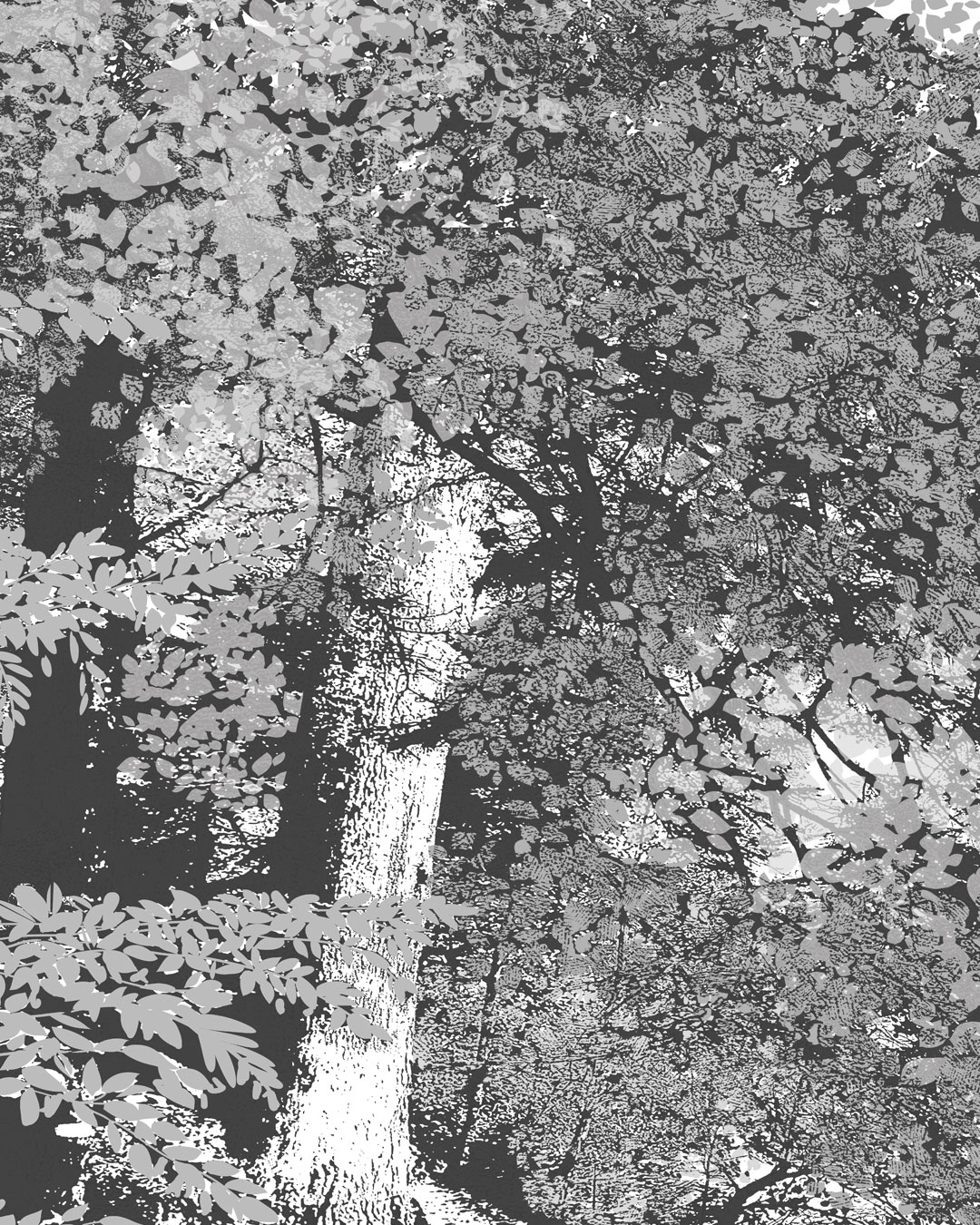 Papier-peint-panoramique-branchage-LISIERE-LS3472-LGD01-decor-mural-sur-mesure-ZOOM