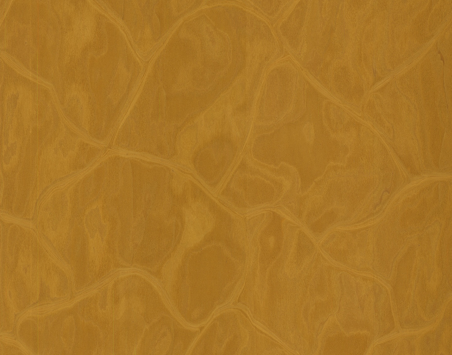 20250310-3313-18.29-ALPI-Agreste-Ouro_main