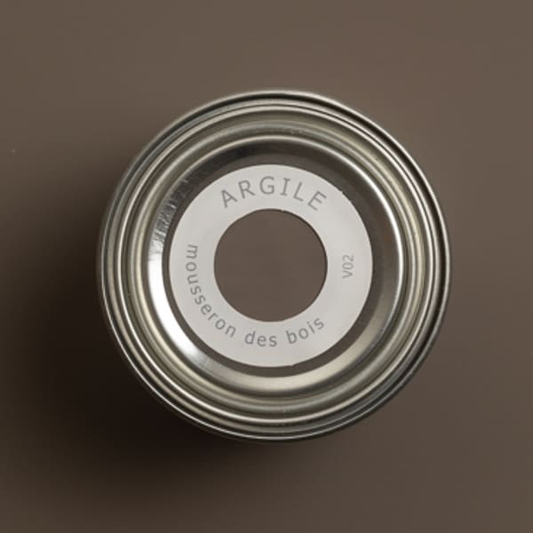 argile_peinture-tmvv02-teinte-mousserons_des_bois-600_600