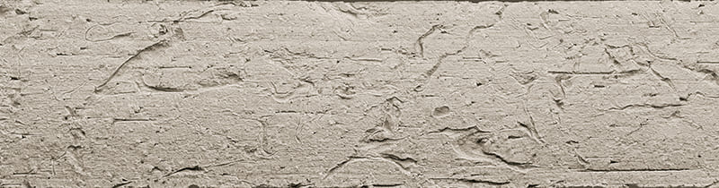 TCN_ECORCE_109-Silver