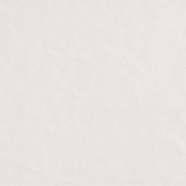 fap_milanomood_2021_ghiaccio_matt_50x120_rt_1_fQAW_hr_5TEoWMU-thumbnail-600x600-70