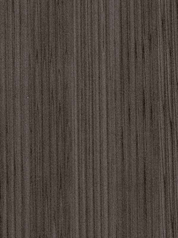 603 cedro del libano