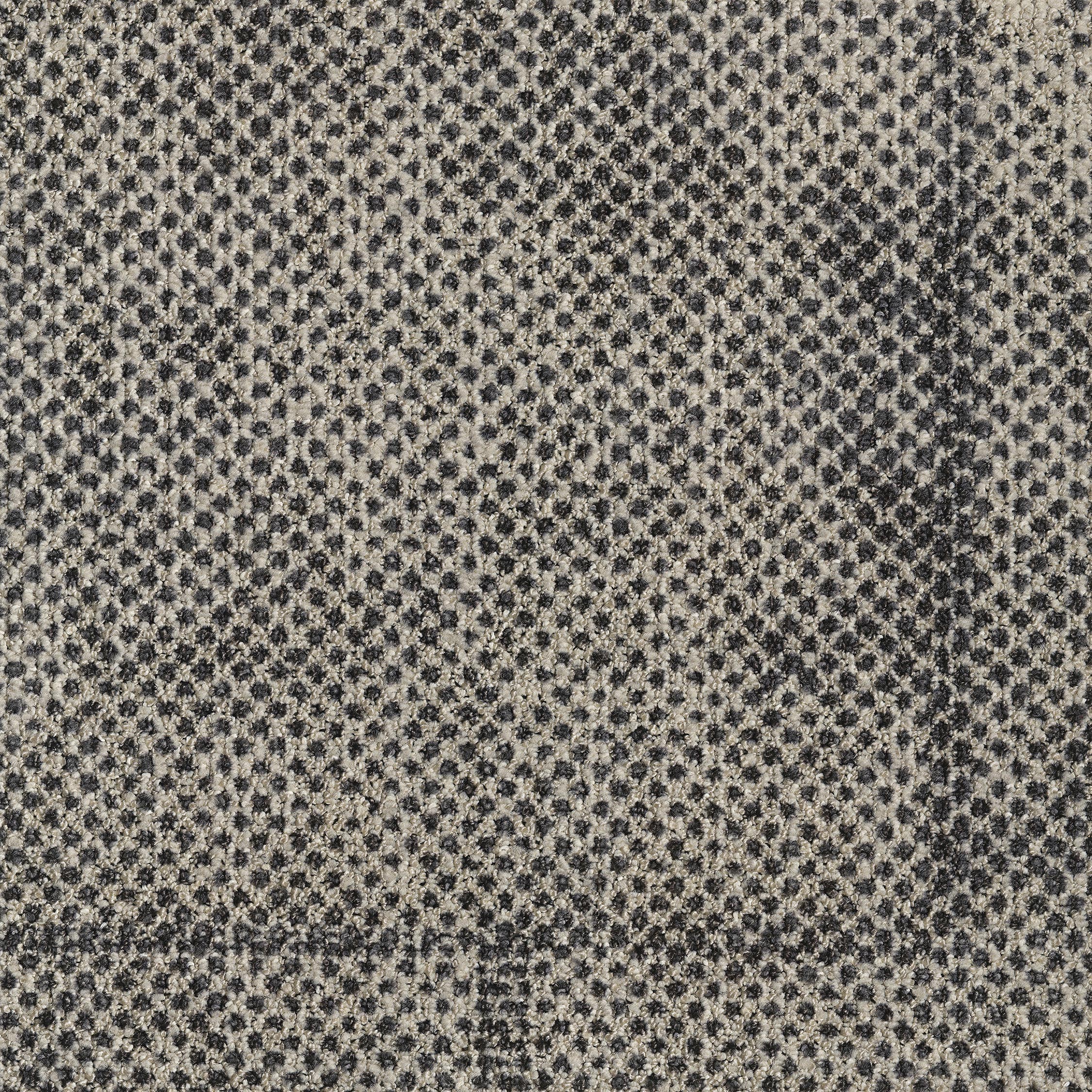 0865021 - Seed Grey 5595