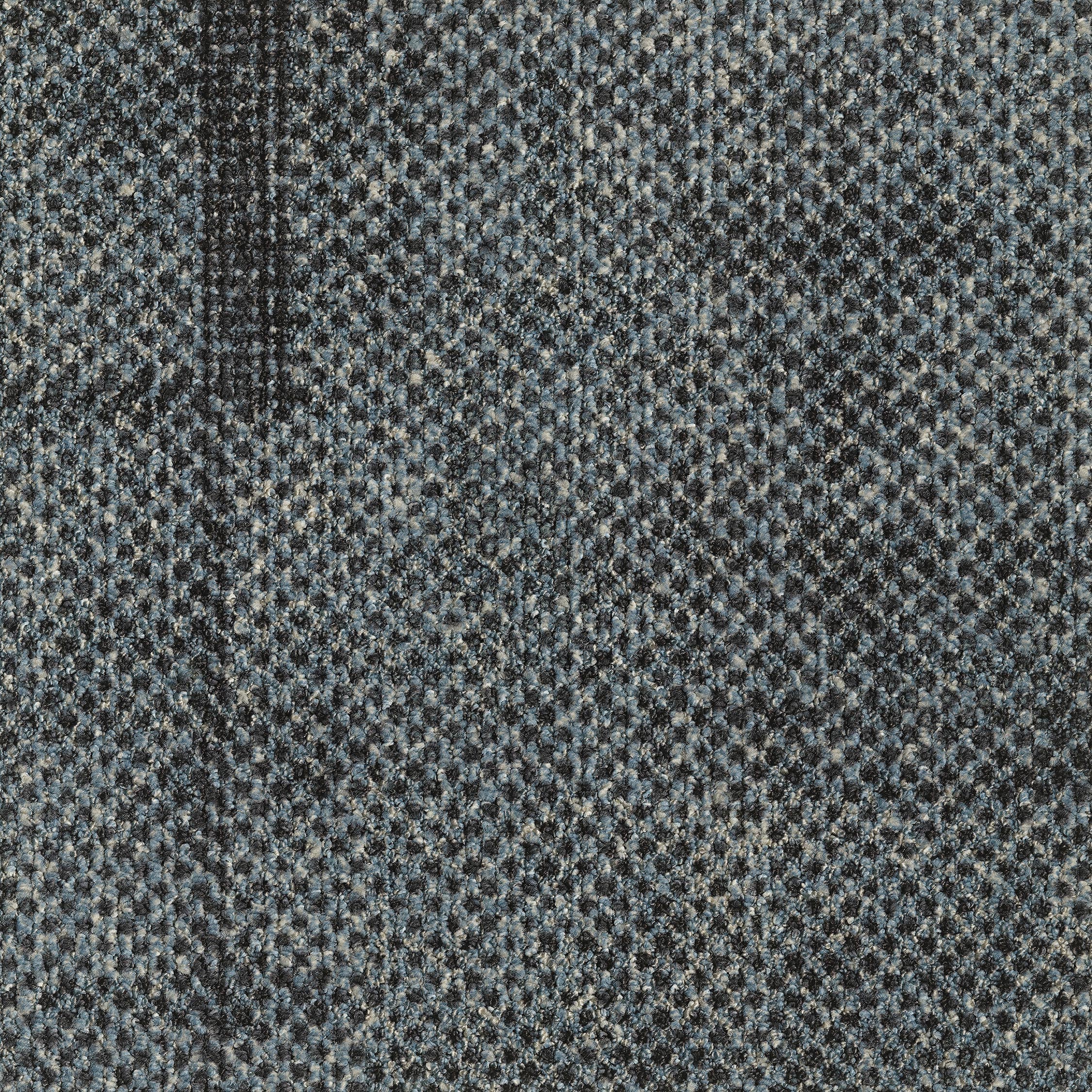 0865025 - Seed Light Blue 5595