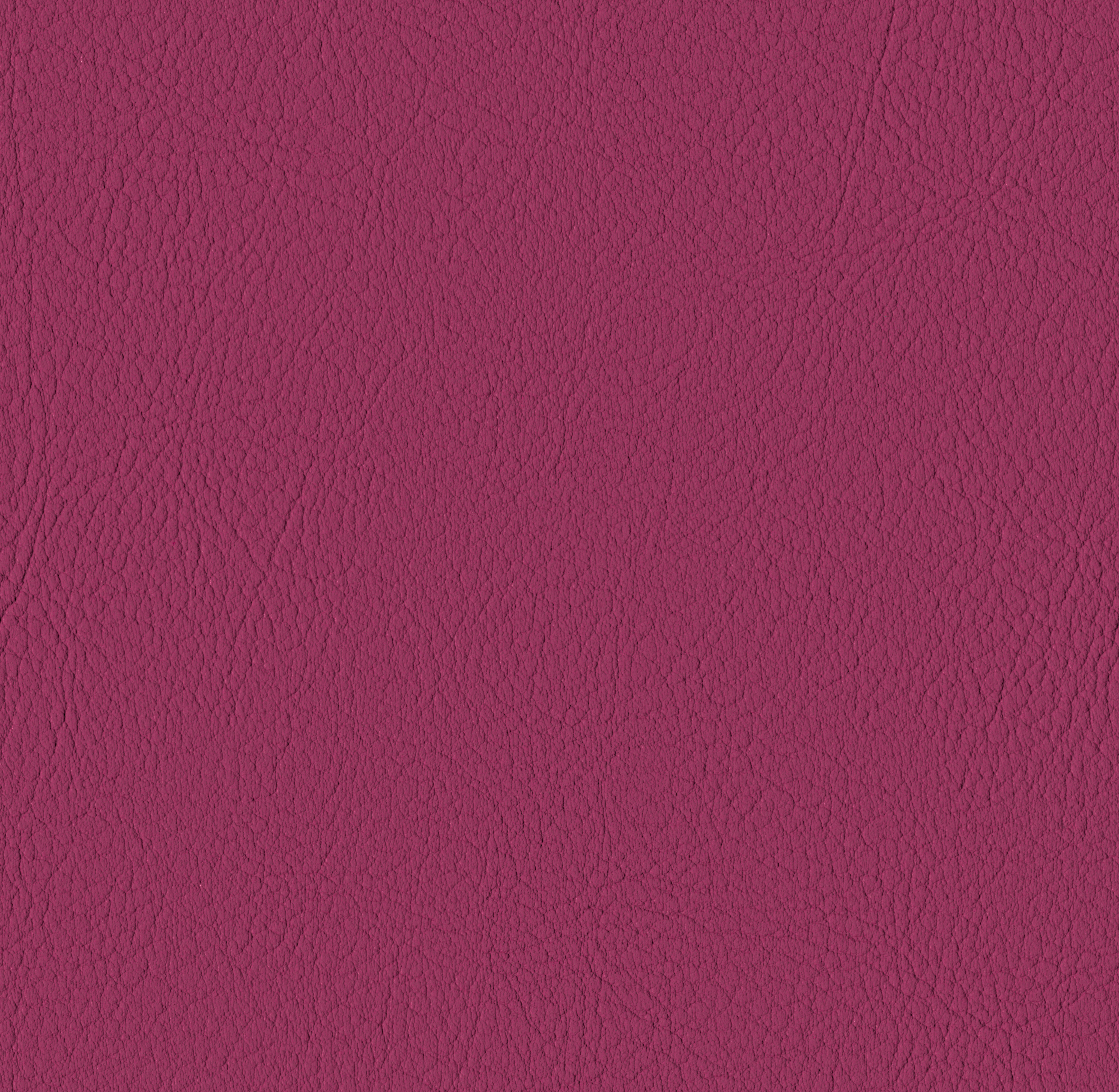 Tileable image - Berry