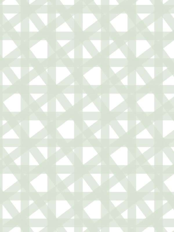 6428 pastel vert bold