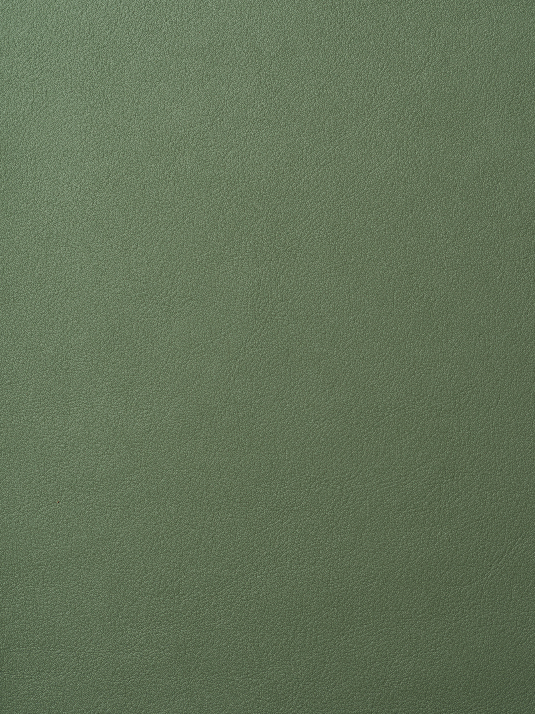 ELMOLEATHER_ELMOSOFT_88058